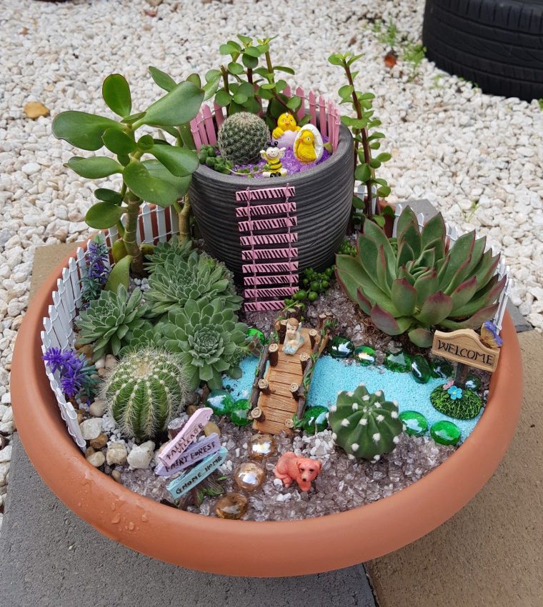 Pin By Sylvia On Gardens | Fairy Garden Designs, Fairy … pour Jardines Con Cactus Y Piedras