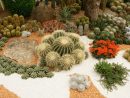 Pin Elementos Del Jardin Desertico On Pinterest | Cactus ... destiné Jardines Con Cactus Y Piedras