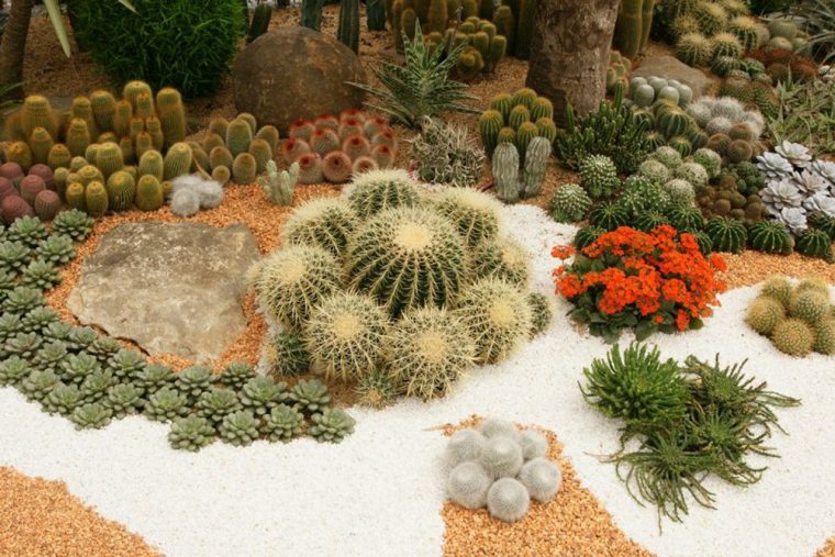Pin Elementos Del Jardin Desertico On Pinterest | Cactus … destiné Jardines Con Cactus Y Piedras