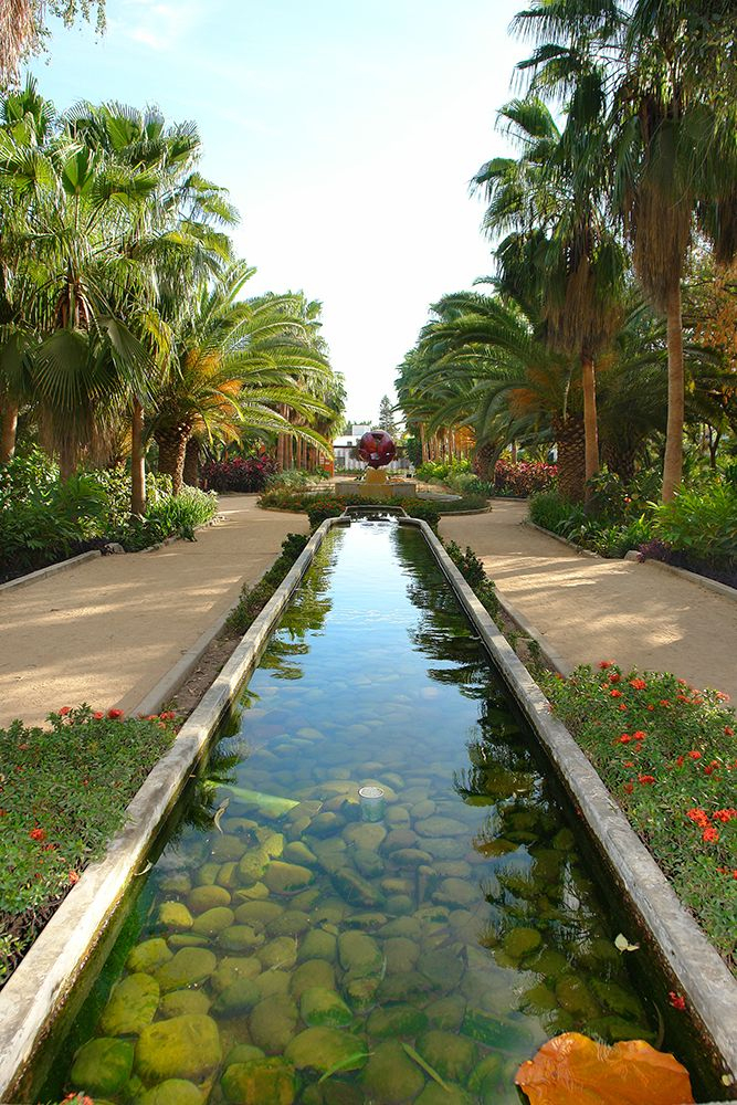 Pin En Culiacán intérieur Jardin Botanico De Valencia