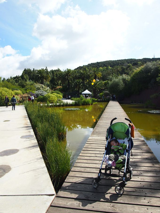 Pin En Parques concernant Jardin Botanico Montjuic