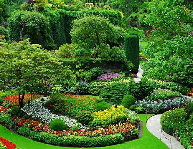 Pin En Terrazas Urbanas dedans Asociacion De Parques Y Jardines