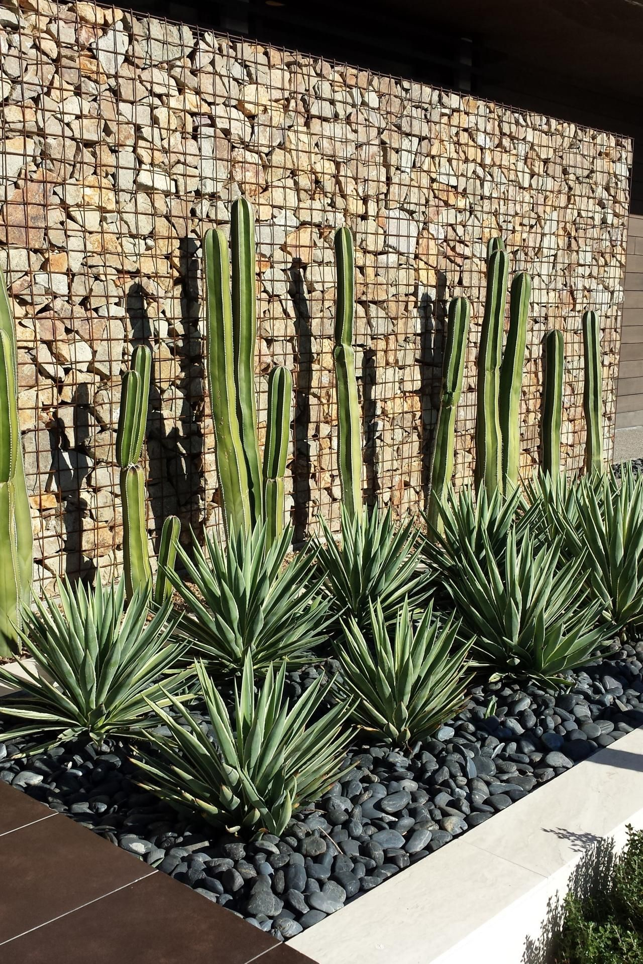 Pin On Decoración encequiconcerne Jardines Con Cactus Y Piedras