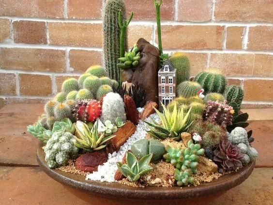 Pin On Jardines De Hadas encequiconcerne Jardin De Cactus Miniatura