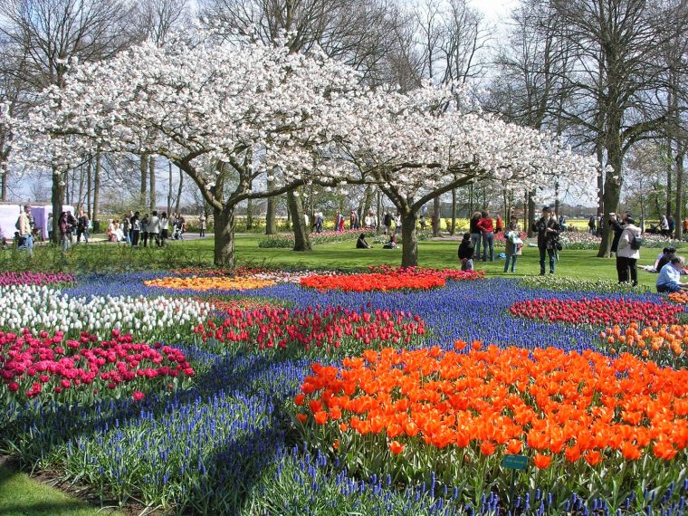 Pinceladas Actuales: Keukenhof, El Parque Floral Mas Visitado pour Jardines De Keukenhof