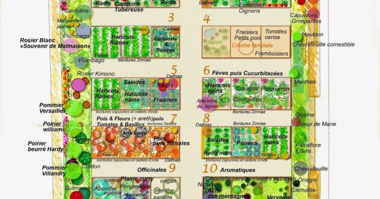 Plan Sylvie Coutant En 2020 | Design De Jardin Potager ... concernant Plan Jardin Potager