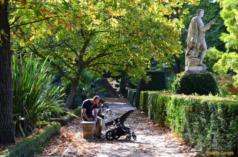 Planeta Cereza: Rincones. El Real Jardín Botánico De Madrid à Jardines Botanicos En España