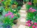 Plantas De Jardín - Diseño Y Decoración De Jardines ... à Diseño De Jardines Con Flores