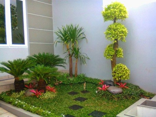Plantas Minimalistas Para Exteriores | Small Garden Design … à Flores Jardin Exterior