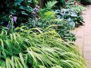 Plantas Para Zonas Sombrías - Guia De Jardin concernant Plantas De Sombra Para Jardin