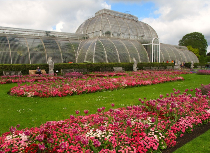 Plantas Y Flores: Jardín Botánico De Londres dedans Jardin Botanico De Kew