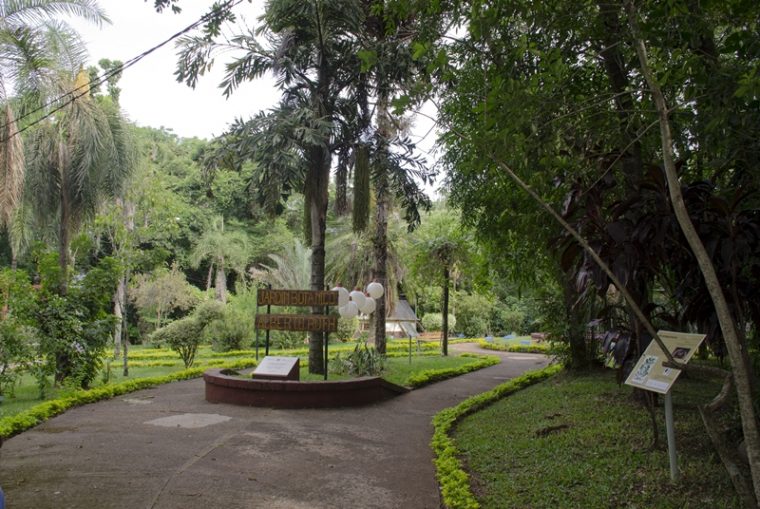 Posadas: Buscan Posicionar Al Jardín Botánico Como Puerta … serapportantà Jardin Botanico La Rioja