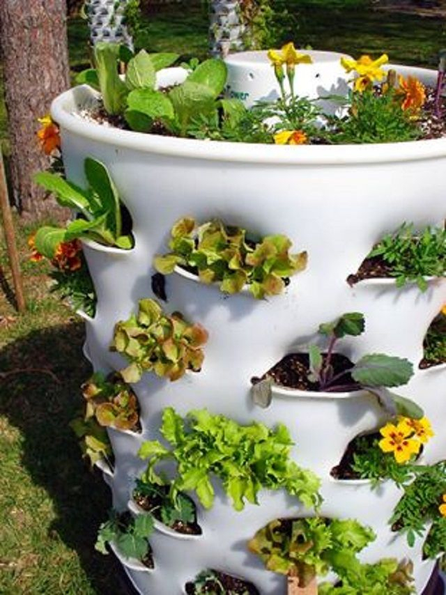 Practica Idea Para El Jardín | Garden Ideas Cheap, Garden … dedans Reciclar Palets Para Jardin