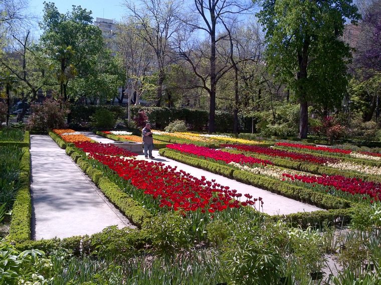 Preciosa Vista De Primavera 2013 En El Jardín Botánico De … encequiconcerne Jardín Botanico Madrid