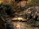¡Preciosos Caminos De Piedra En El Jardín! | Scenery, Rock ... avec Caminos De Piedra En Jardines