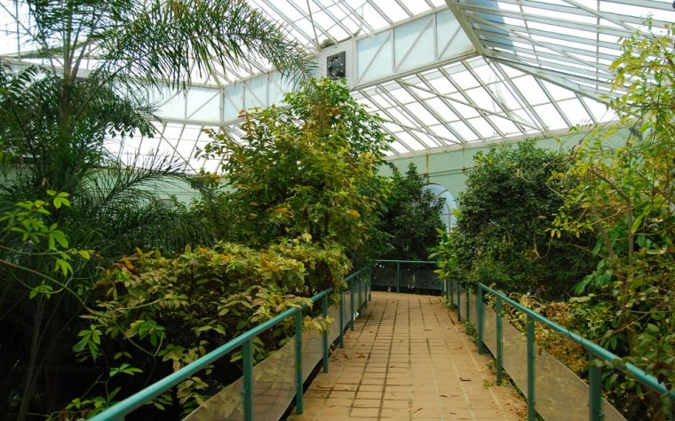 Primavera En El Real Jardín Botánico De Córdoba … concernant Jardin Botanico Soller