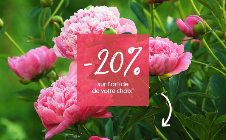 Profitez De -20% Sur L'Article De Votre Choix Truffaut … destiné Jardinerie Truffaut Bordeaux