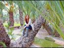 ¿Qué Ver Y Visitar 1 Día En Elche? | Alicante, España ... intérieur Ciudad Jardin Elche