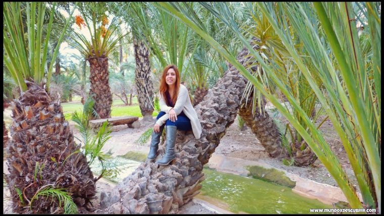 ¿Qué Ver Y Visitar 1 Día En Elche? | Alicante, España … intérieur Ciudad Jardin Elche