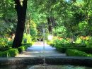 Real Jardín Botánico | Botanical Gardens, Garden, Botanical pour Real Jardin Botanico Madrid