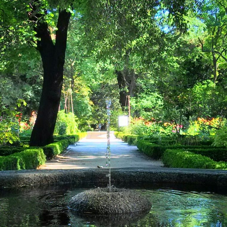 Real Jardín Botánico | Botanical Gardens, Garden, Botanical serapportantà Jardin Botanico Madrid Metro
