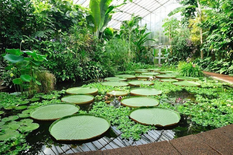 Real Jardín Botánico De Edimburgo – Horario, Precio Y … intérieur Jardin Botanico Horario