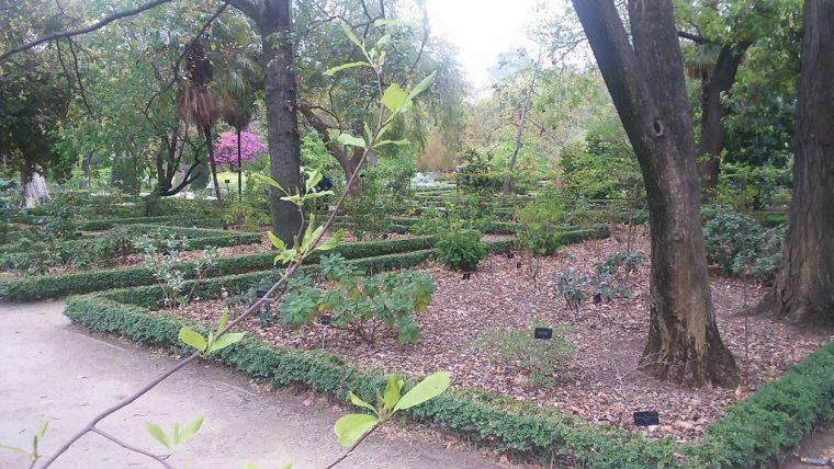 Real Jardín Botánico De Madrid April 2019 20190407_083610 … encequiconcerne Real Jardin Botanico Precio