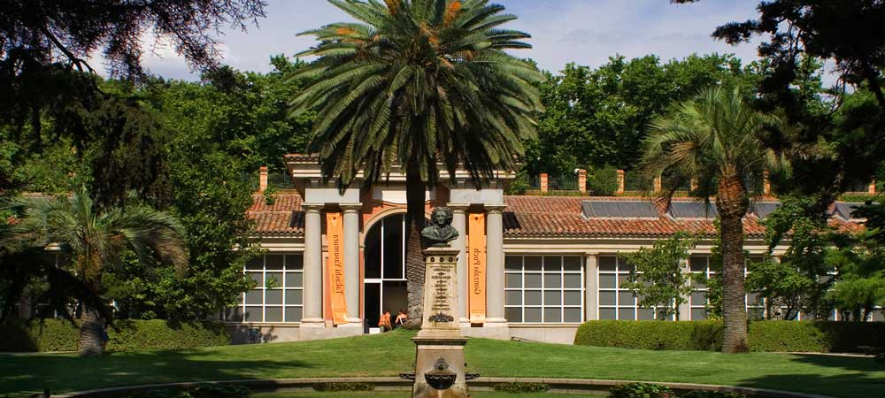 Real Jardín Botánico De Madrid - Horario, Precio Y Cómo Llegar avec Entrada Jardin Botanico Madrid