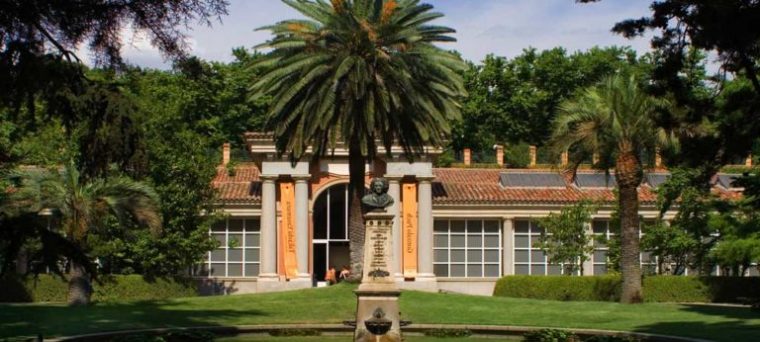 Real Jardín Botánico De Madrid – Horario, Precio Y Cómo Llegar avec Real Jardín Botánico Madrid