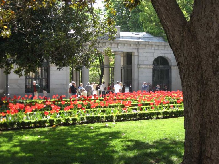 Real Jardín Botánico De Madrid - Horario, Precio Y Cómo Llegar concernant Horario Jardin Botanico