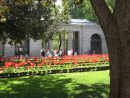 Real Jardín Botánico De Madrid - Horario, Precio Y Cómo Llegar concernant Jardín Botánico De Madrid