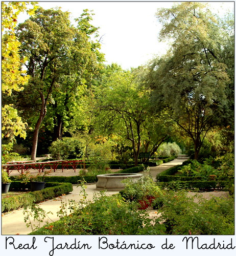Real Jardín Botánico De Madrid | Manuel M. V. | Flickr à Real Jardín Botánico De Madrid