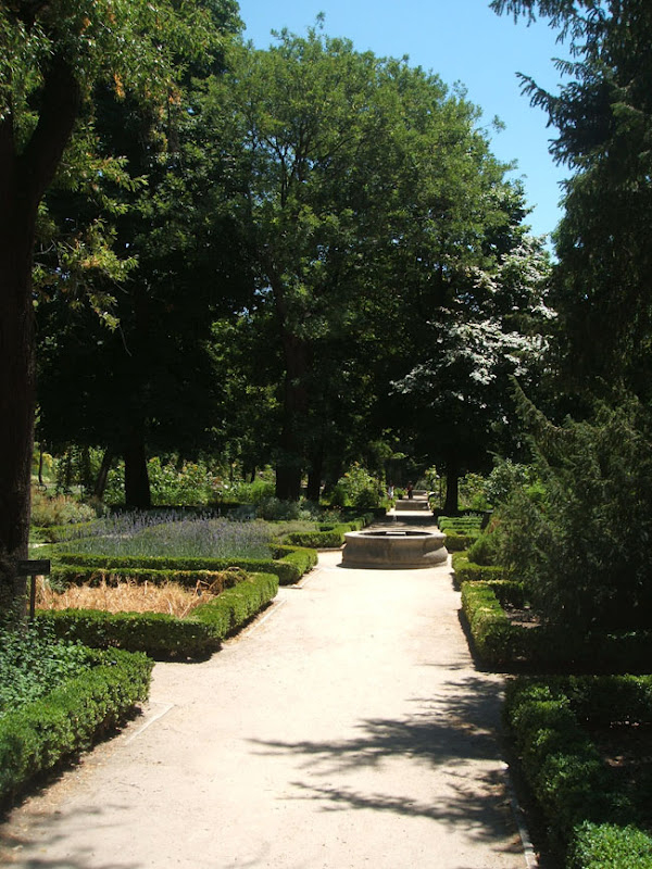 Real Jardín Botanico De Madrid - Mᴧᴅᴇ Іƞ Sᴘᴧіƞ™ ( +35Θθ ... dedans Real Jardín Botánico De Madrid