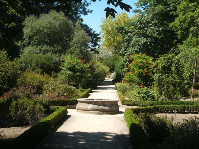 Real Jardín Botanico De Madrid - Mᴧᴅᴇ Іƞ Sᴘᴧіƞ™ ( +35Θθ ... dedans Real Jardin Botanico Madrid