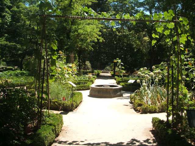 Real Jardín Botanico De Madrid - Mᴧᴅᴇ Іƞ Sᴘᴧіƞ™ ( +35Θθ ... serapportantà Real Jardín Botánico De Madrid