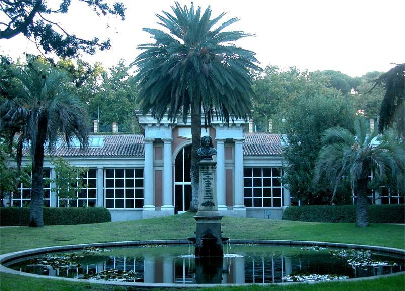 Real Jardín Botánico De Madrid - Palmeras Y Jardines dedans Entrada Jardin Botanico Madrid