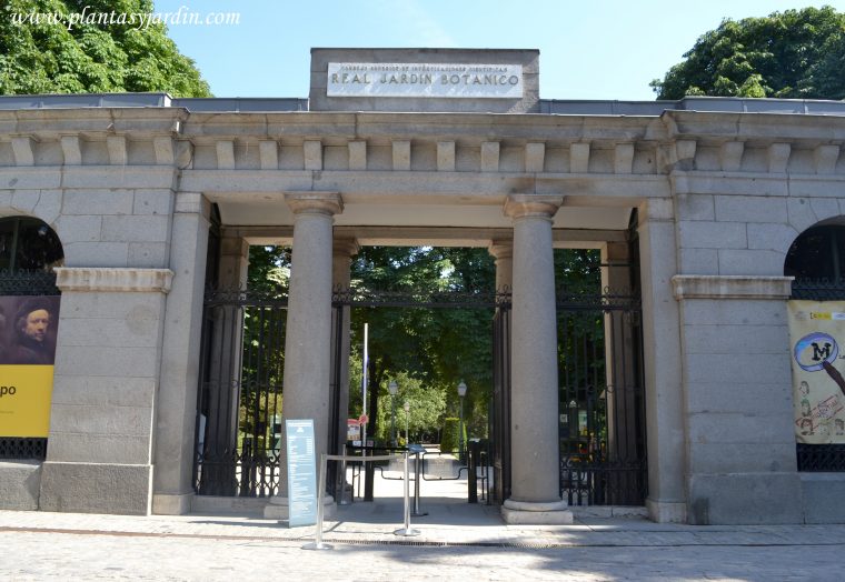 Real Jardín Botánico De Madrid | Plantas Y Jardín serapportantà Jardin Botanico Madrid Precio Entrada