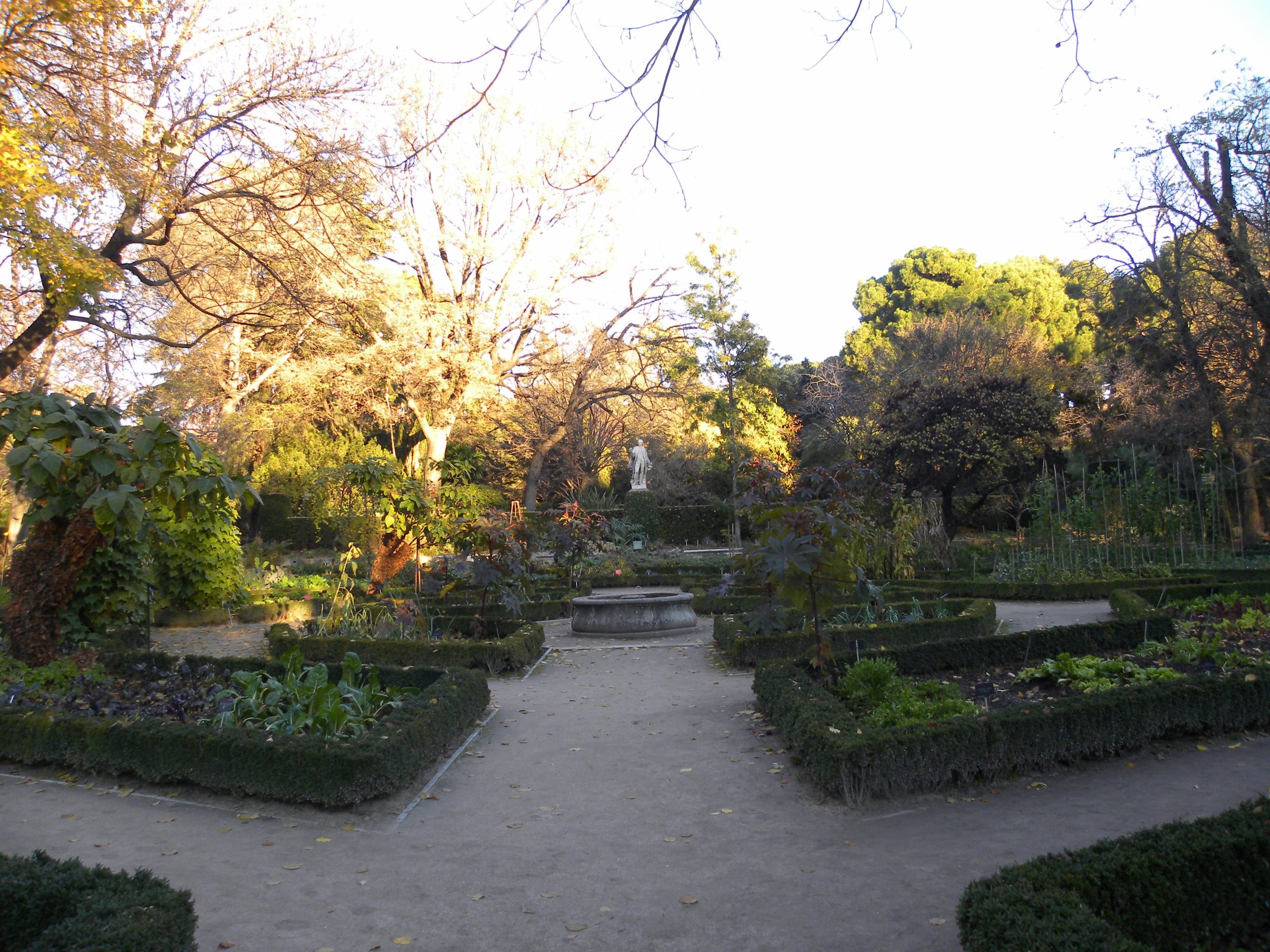 Real Jardín Botánico De Madrid | Real Jardin Botanico ... avec Jardín Botánico De Madrid