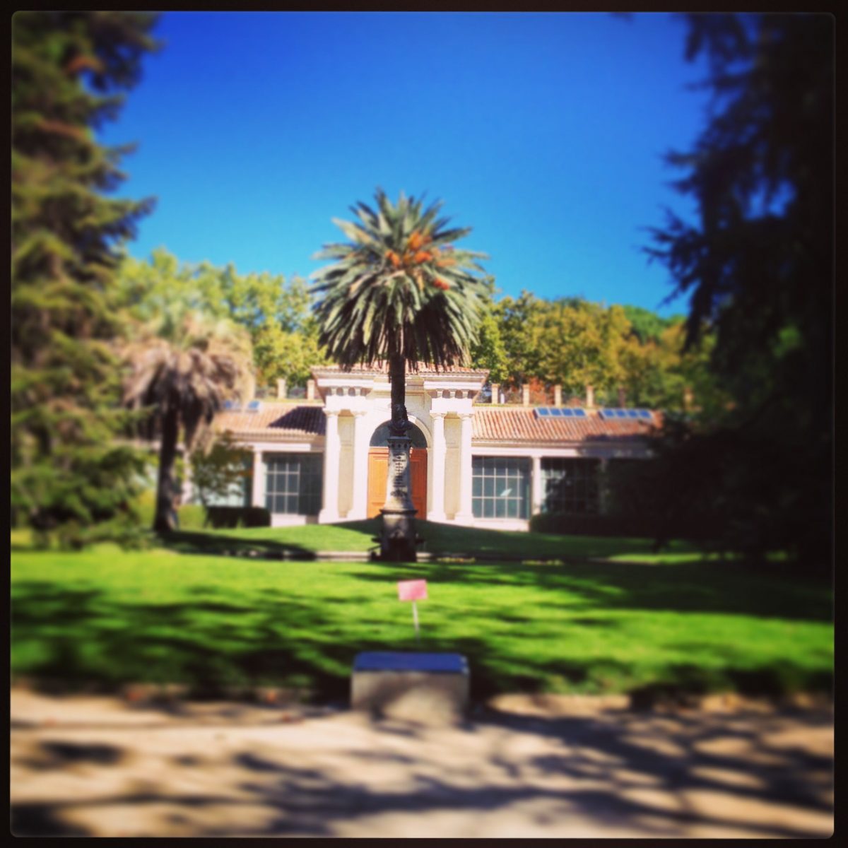 Real Jardín Botánico De Madrid | Real Jardin Botanico ... avec Real Jardin Botanico Madrid