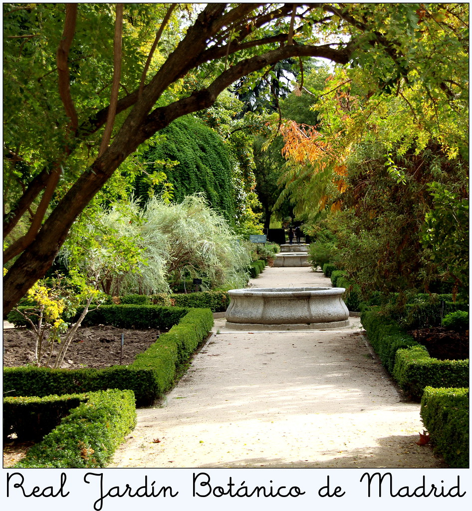 Real Jardín Botánico De Madrid | Real Jardín Botánico De ... avec Real Jardin Botanico Madrid