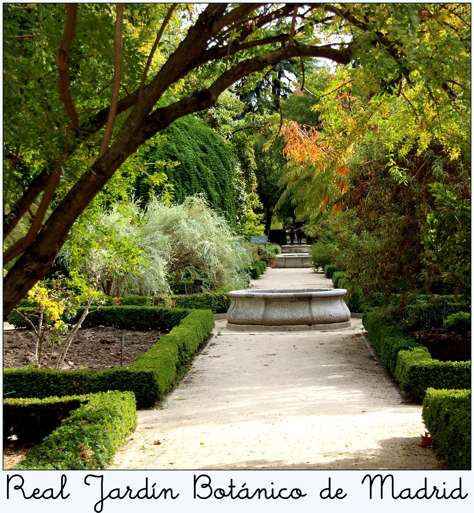 Real Jardín Botánico De Madrid | Real Jardín Botánico De ... serapportantà Jardines Botanicos Madrid