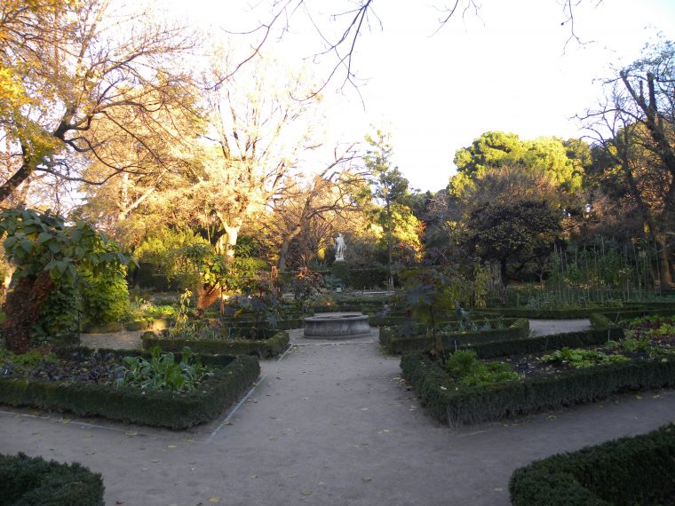 Real Jardín Botánico De Madrid | Real Jardin Botanico … dedans Real Jardin Botanico