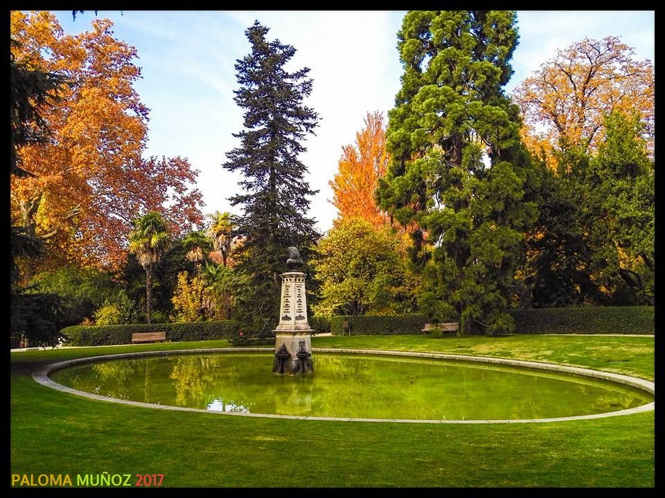 Real Jardín Botánico De Madrid Royal Botanical Garden Of ... pour Jardín Botánico De Madrid