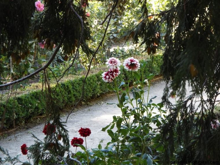 Real Jardín Botánico De Madrid, Un Emblema De La Botánica … encequiconcerne Real Jardin Botanico De Madrid