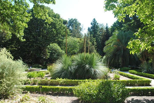 Real Jardín Botánico De Madrid - Un Espacio Para Relajarse ... pour Jardin Botanico Madrid Metro
