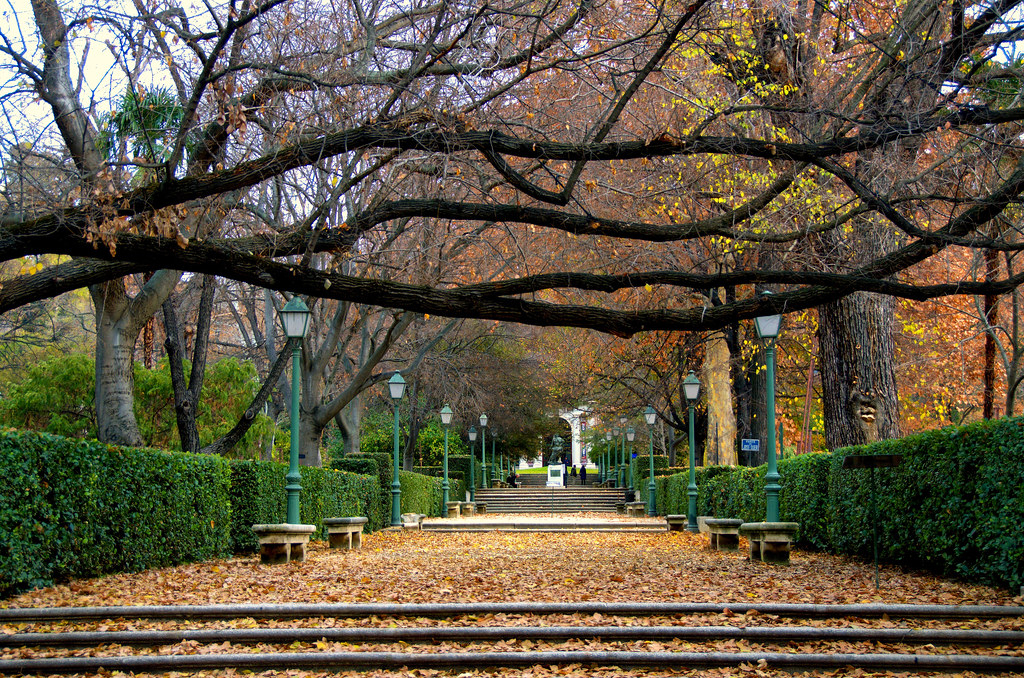 Real Jardin Botanico, Madrid 5399 27-12-2015 | Real Jardin ... destiné Precio Jardin Botanico Madrid