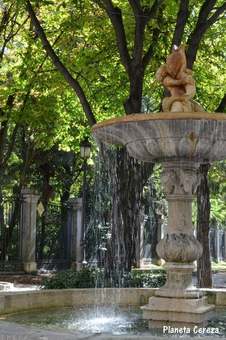 Rincones. El Real Jardín Botánico De Madrid – Paperblog avec Jardin Botanico De Madrid Horarios