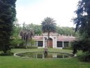 Rjb - Palmera | Real Jardín Botánico De Madrid | Mario Rm ... à Real Jardín Botánico De Madrid