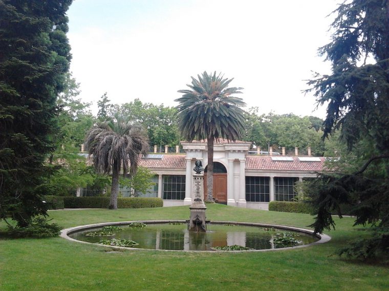 Rjb – Palmera | Real Jardín Botánico De Madrid | Mario Rm … à Real Jardín Botánico De Madrid