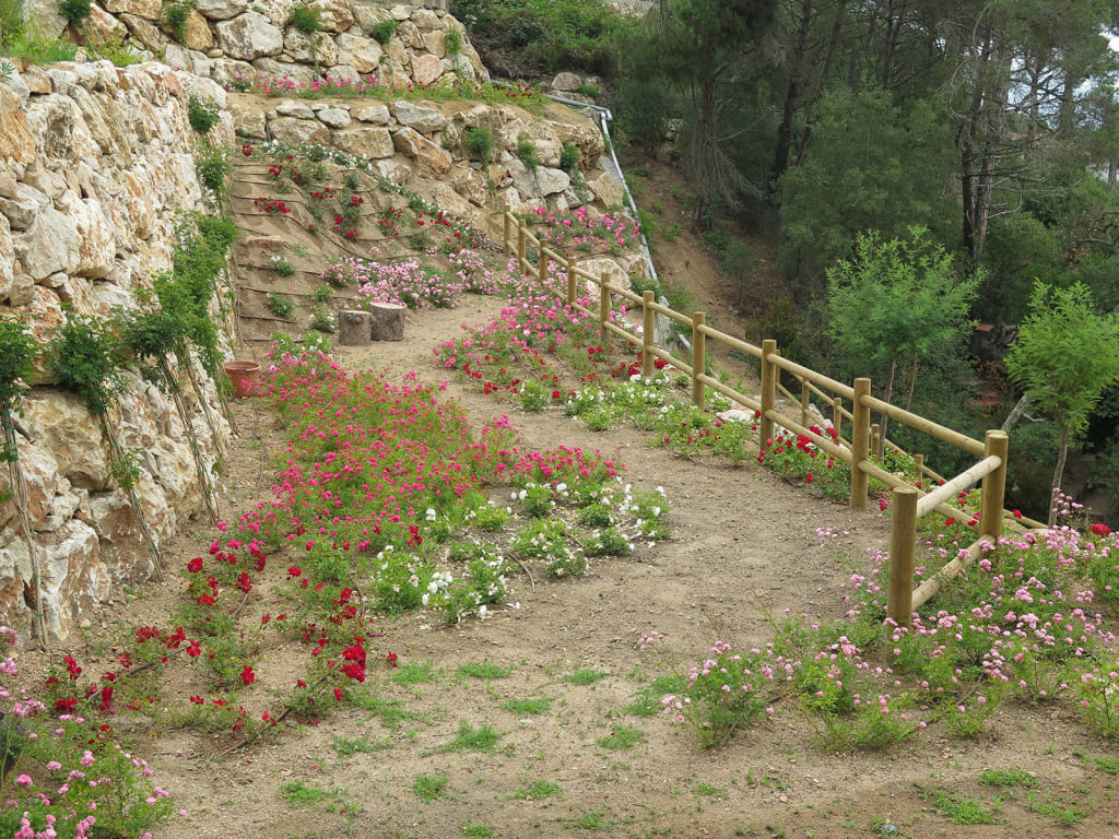 Rosaleda Landshaft Jardines Mediterráneos | Homify à Jardines Mediterraneos Fotos